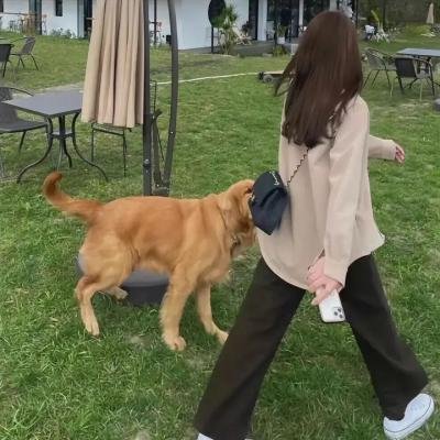 最后地下铁