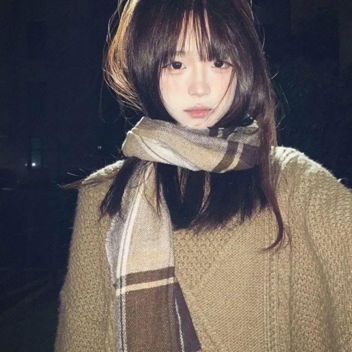 追星星的人第三季