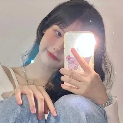 写珍集